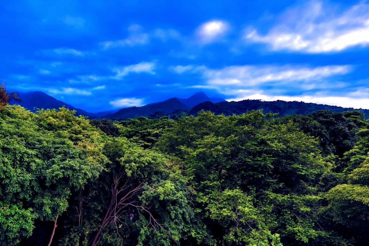 Villa Maria Tayrona, Jungle And Sea Experience Los Naranjos Εξωτερικό φωτογραφία