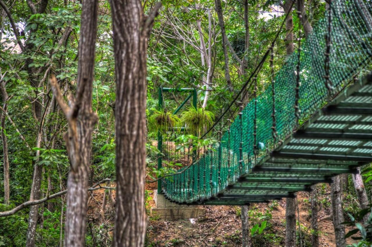 Villa Maria Tayrona, Jungle And Sea Experience Los Naranjos Εξωτερικό φωτογραφία