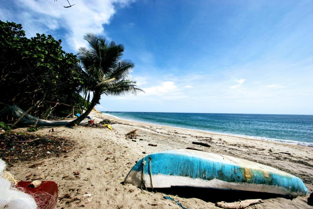 Villa Maria Tayrona, Jungle And Sea Experience Los Naranjos Εξωτερικό φωτογραφία
