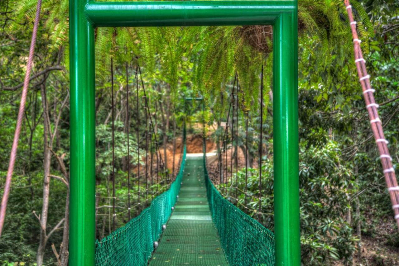 Villa Maria Tayrona, Jungle And Sea Experience Los Naranjos Εξωτερικό φωτογραφία