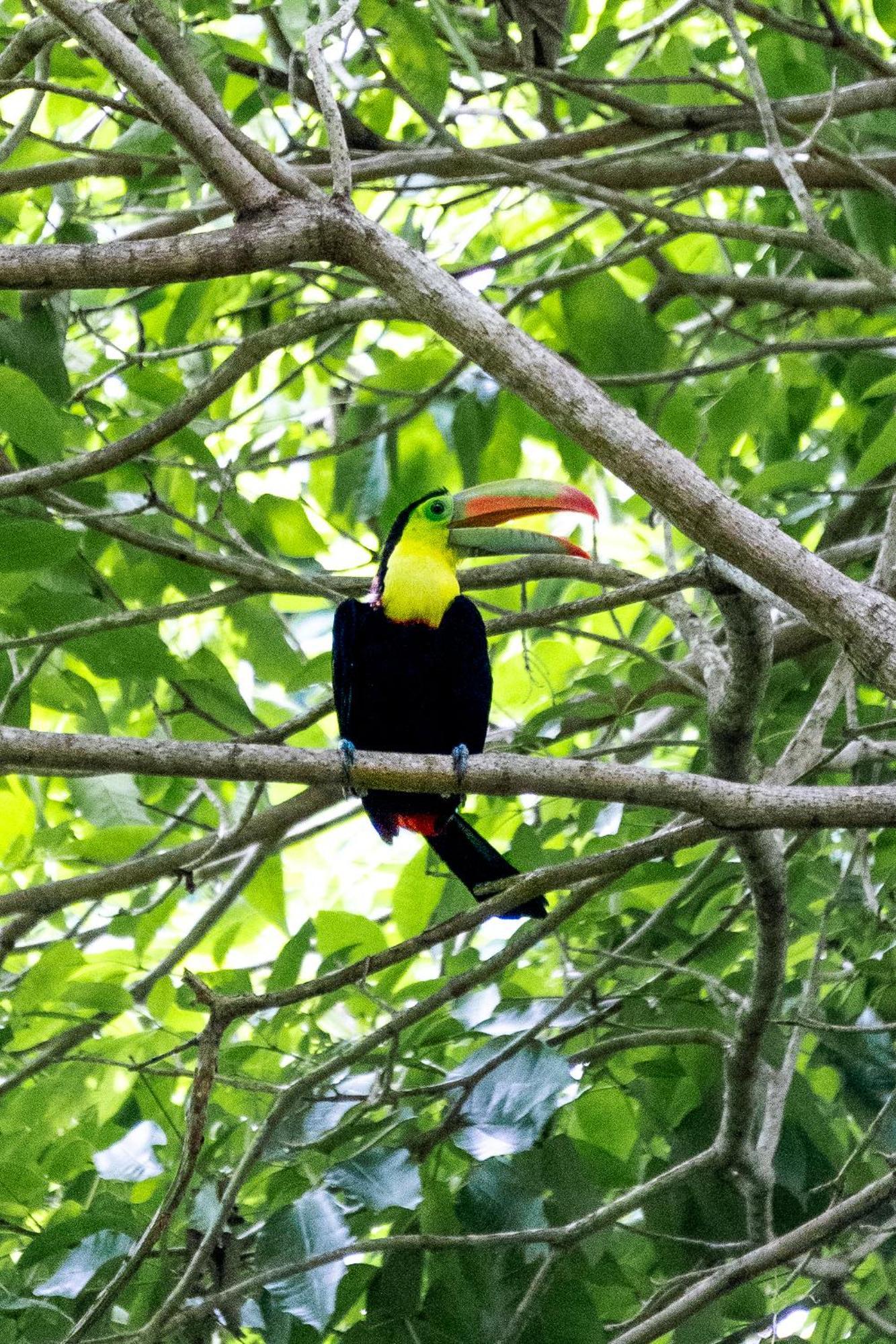 Villa Maria Tayrona, Jungle And Sea Experience Los Naranjos Εξωτερικό φωτογραφία
