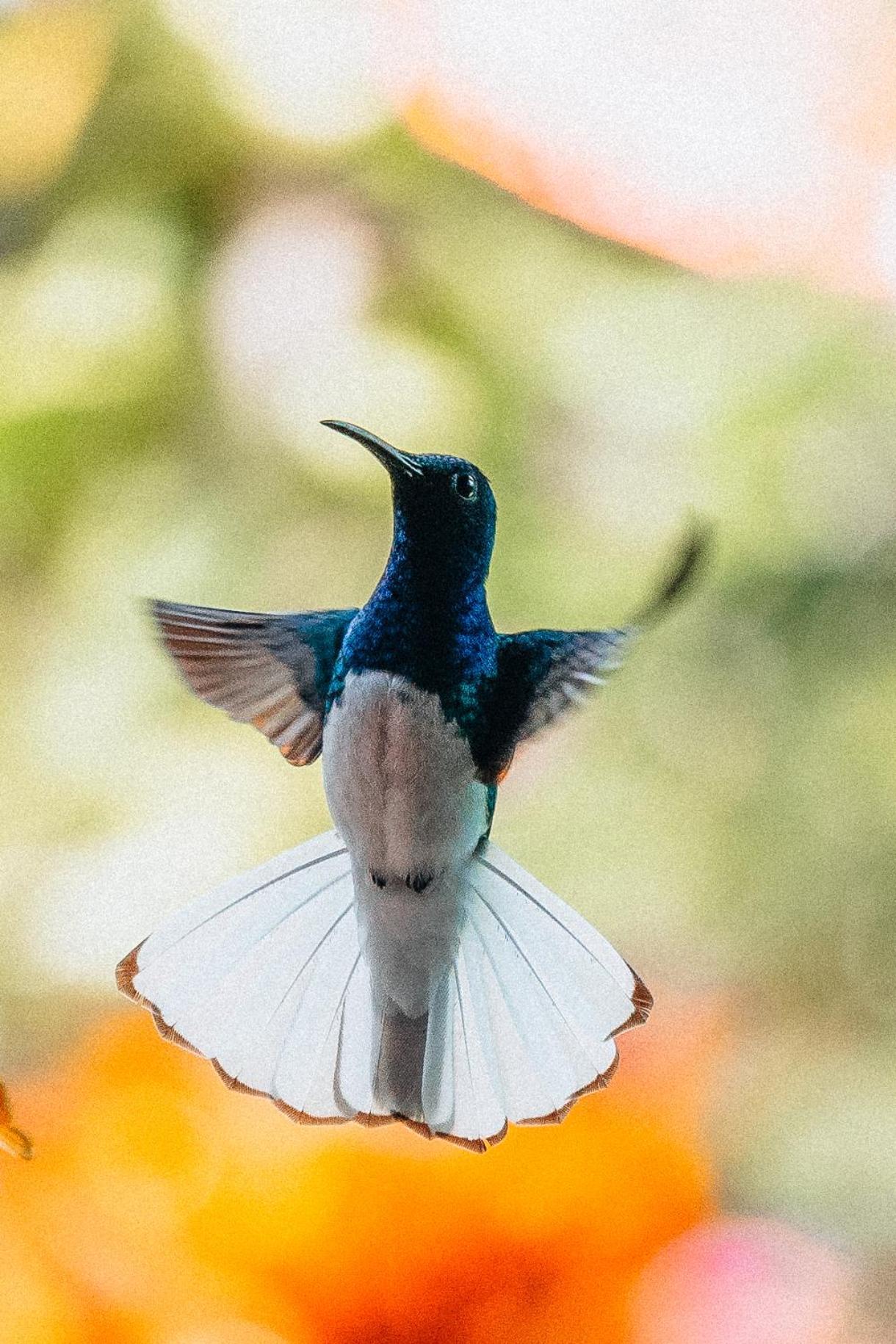 Villa Maria Tayrona, Jungle And Sea Experience Los Naranjos Εξωτερικό φωτογραφία