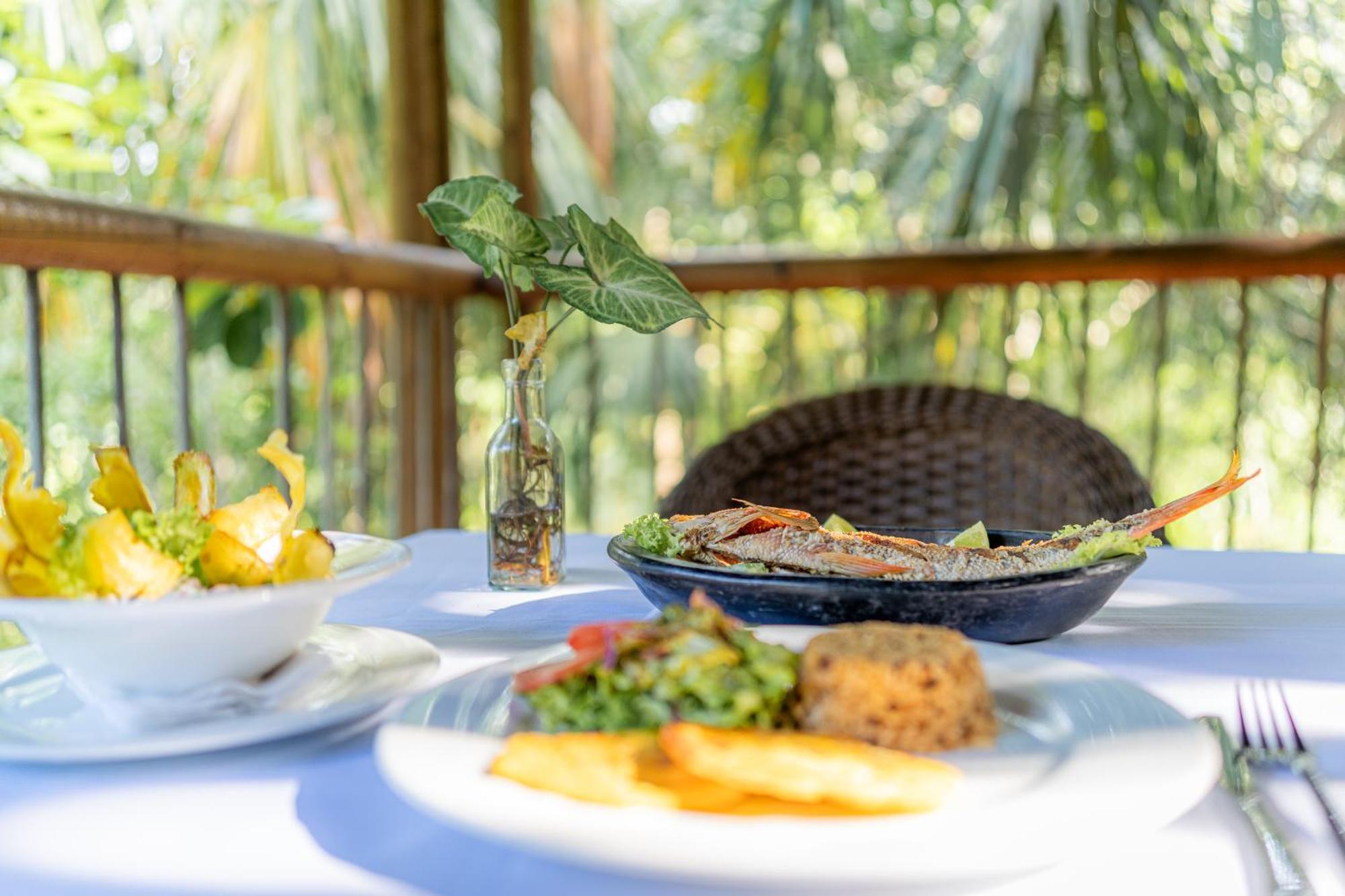 Villa Maria Tayrona, Jungle And Sea Experience Los Naranjos Εξωτερικό φωτογραφία