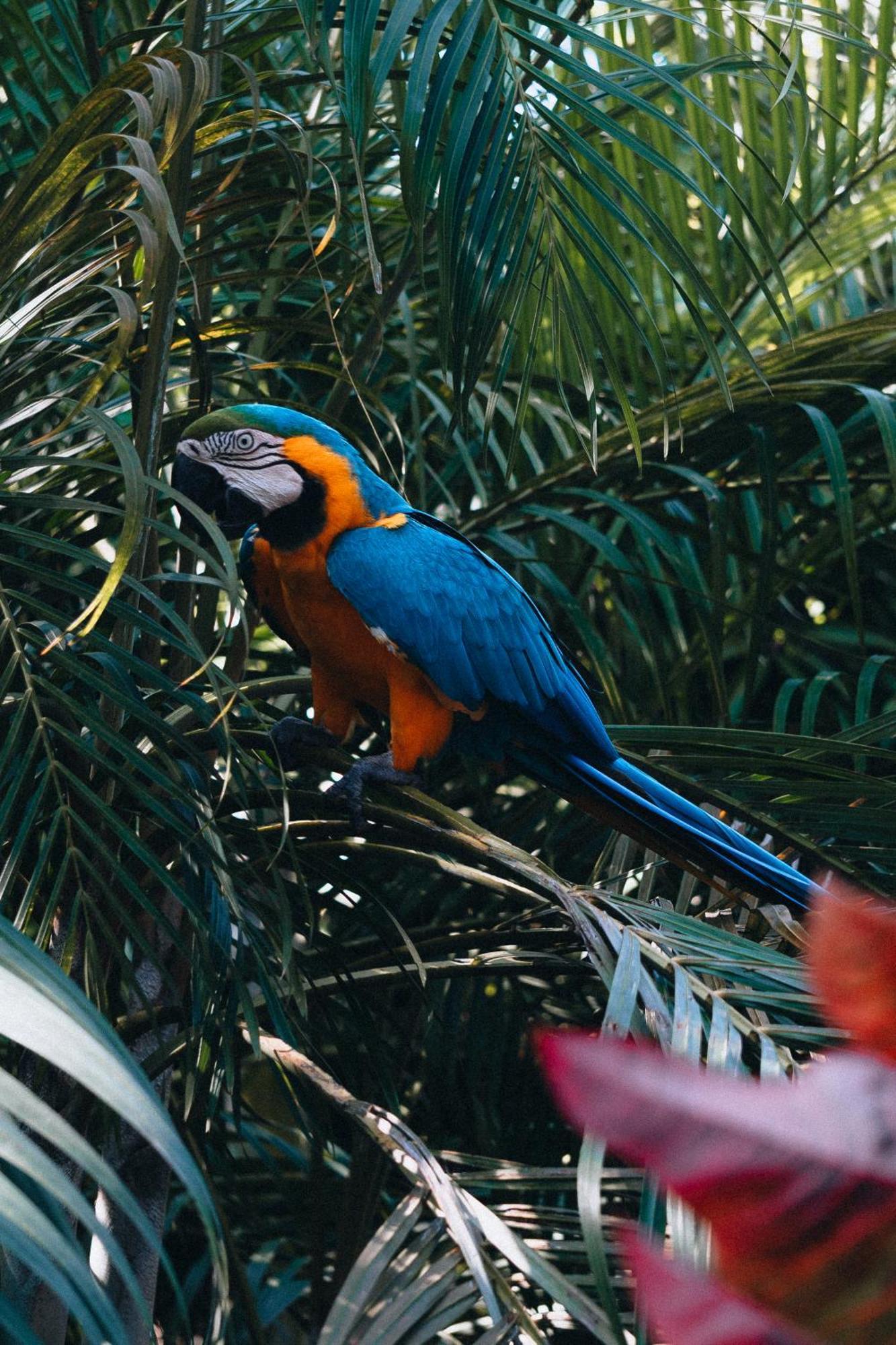 Villa Maria Tayrona, Jungle And Sea Experience Los Naranjos Εξωτερικό φωτογραφία