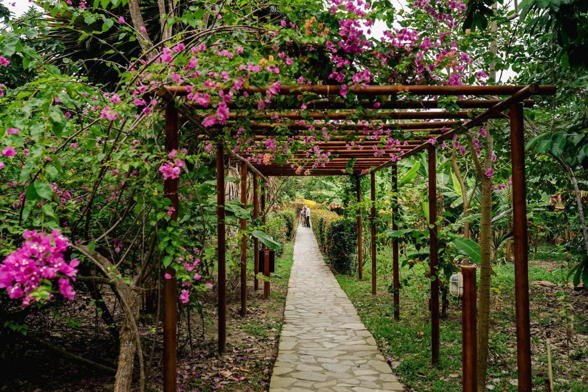 Villa Maria Tayrona, Jungle And Sea Experience Los Naranjos Εξωτερικό φωτογραφία